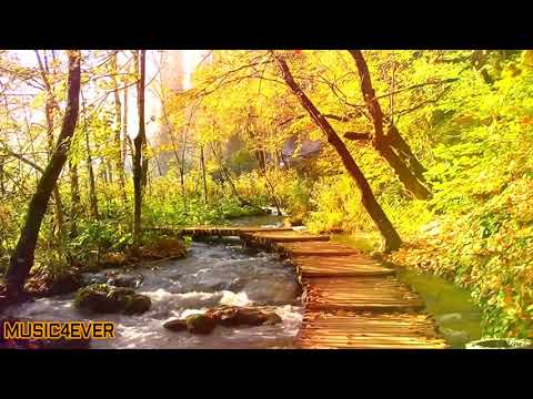 Calm , relaxing music (#No_Copyright music)