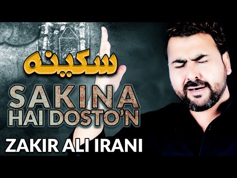 Nohay 2014 | Sakina Hai Dosto'n | Zakir Ali Irani New Noha 2014 | Shahadat e Bibi Sakina (س)