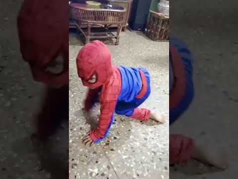 #My #sweet #nilo #kutty #spiderman #alaparaikal #shorts #videos 😂😂😂