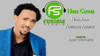 ABDIRISAAQ ANSHAX ADAA NIYADAYDA OFFICIAL SONG 2019 - Furinle studio