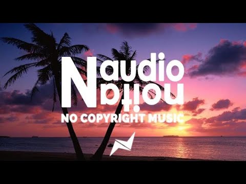 Freedom - Roa (Free to Use Music for Intros) | (No Copyright Background Music for Vlogs)