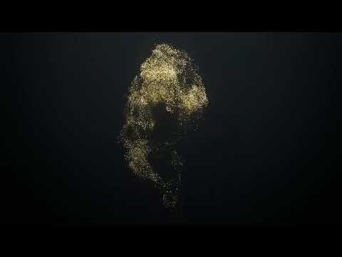 Bee Black & Yellow Particles Flowing | 4K Relaxing Screensaver