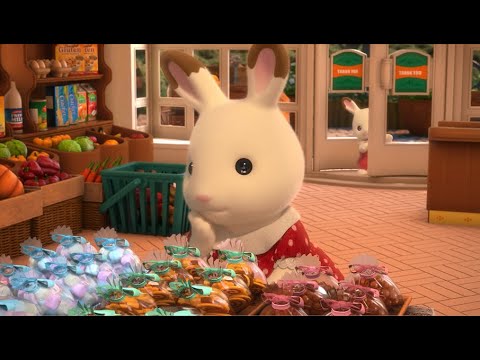 I'm the Older Sister ! | Mini Episodes Season 3 -Clover- #4 |Sylvanian Families