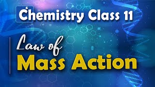 Law of Mass Action - Chemical Equilibrium - Chemistry Class 11