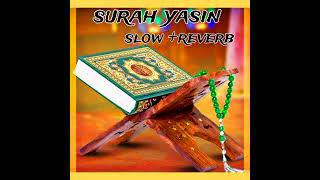 surah yasin full completely watching #indiwalilevelupshop #jummamubarak #kuran