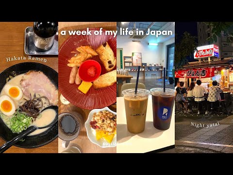 Life in Japan VLOG| Business trip to Fukuoka, Itoshima beach, Yatai food stalls, Hakata ramen