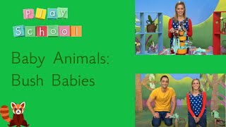 Play School | Series 320 Episode 3 - Baby Animals - Bush Babies (2018)