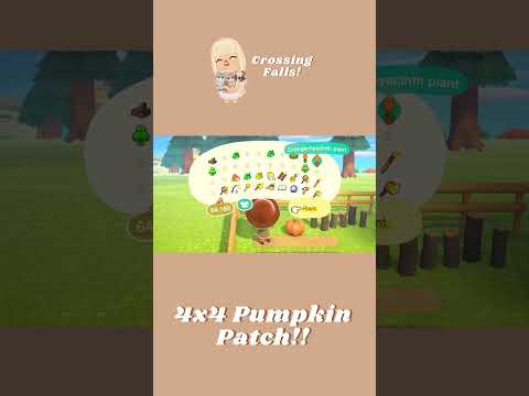 Making Mini Builds in ACNH - Pumpkin Patch! #acnhinspo #acnhspeedbuild #acnhdesigns #acnh #acnhchill