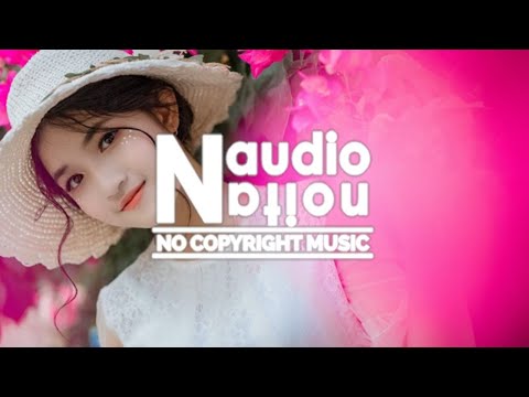 Altero & Niwel - Coming Home (inLu Remix) | (No Copyright Background Music for Vlogs)