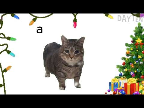 OIIAOIIA CAT x We Wish You A Merry Christmas