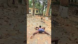 funny monkey's #funny #ytshort #dance #shortvideos #funnyvideo #funnymoment #foryou #shortvideos SAI