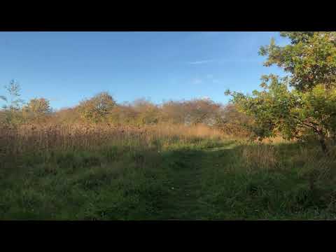 Walking through a nature reserve I never realised existed