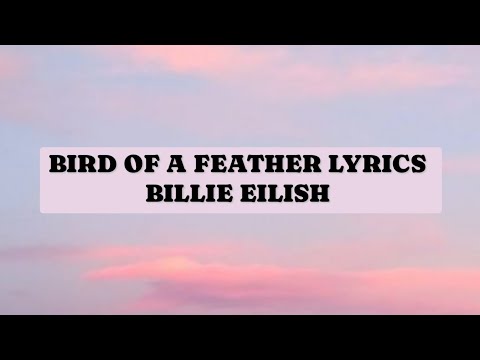 BIRD OF A FEATHER LYRICS | BILLIE EILISH | Lyricvibes7