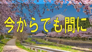 【武田鉄矢今朝の三枚おろし】 人生を決定付けるあなたの●●とは？ 今からでも間に合う改善法