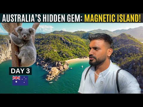 Dicovering Australia’s Secret Island & Wildlife: Townsville to Magnetic Island! 🇦🇺 (Day3)