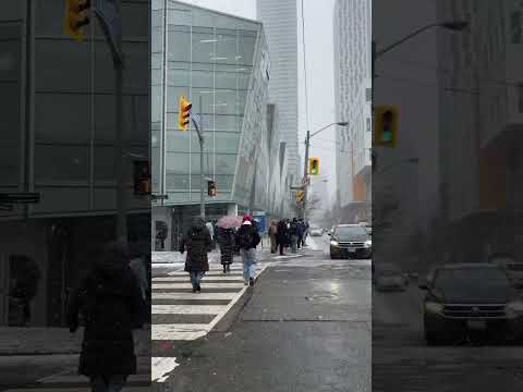 Snow Day in Toronto | Canada | #like | #comment | #subscribe