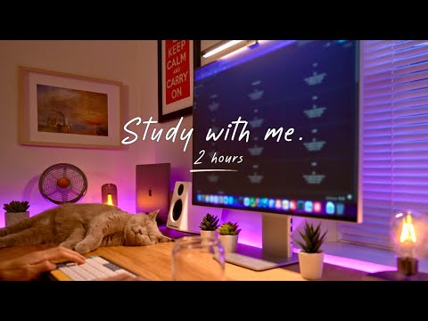 2-Hour Study with Me and My Cat | Pomodoro Timer, Lofi Relaxing Music | Day 126