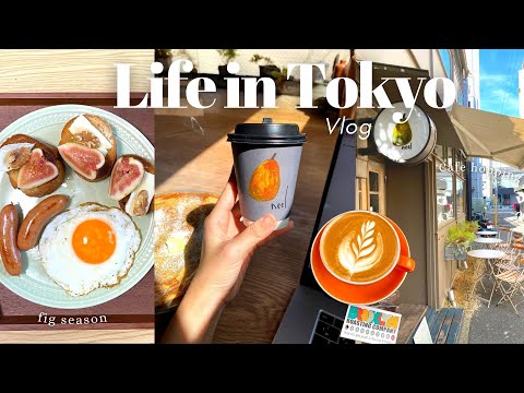 Tokyo VLOG| Rainy weather, cosy days at home, fig recipes, thrifting, cafe hopping