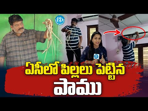 ఏసీలో పిల్లలు పెట్టిన పాము | Snakes In AC | Vizag |@idreamvizag