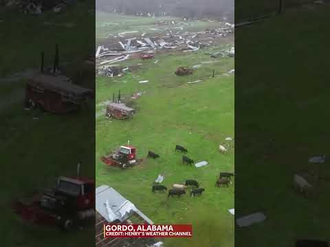 ALABAMA TORNADO OUTBREAK: Stunning drone video shows potential tornado damage in Gordo