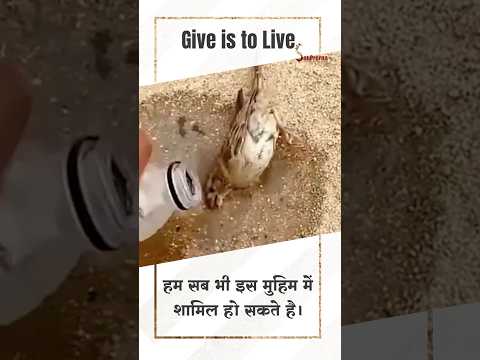 A little Water means a lot | Give is to Live | Satprerna #shorts #viral #GiveIsToLive