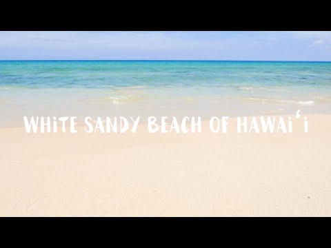 Israel "IZ" Kamakawiwoʻole - White Sandy Beach (Official Lyric Video)