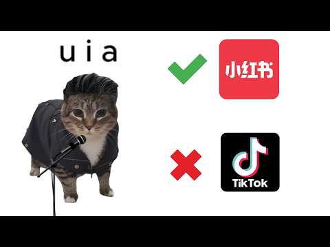 U II A IO UI A I O CAT x RedNote Song (Jin Sheng Yuan)