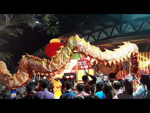 Dragon Dance at my place (late upload) #dragondance