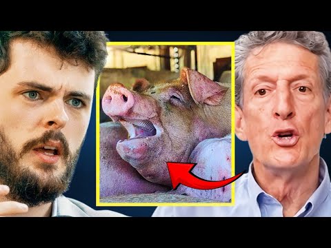 Can Christianity Justify Animal Suffering?" ft. Alex O'Connor and @givemeananswer