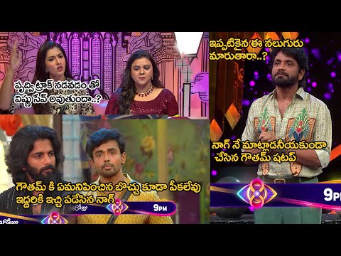 Bigg Boss Telugu 8  Day 83 review| Nag|Gautham3.0,Prudhvi,Vishnu,rohini ki nag gattiga echaduga