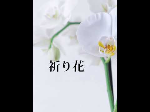 祈り花ー平井大　【歌ってみた】-平井大　【歌ってみた】