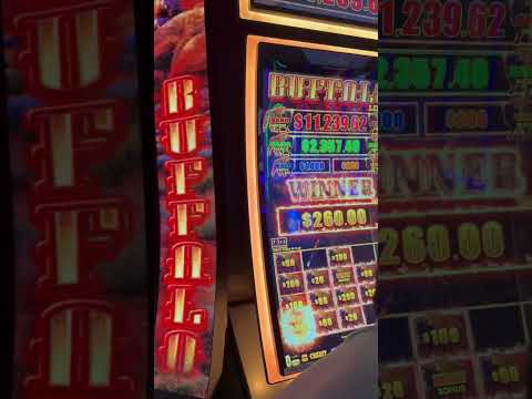 🔴MASIVE WIN 🔴 💰💰check the video to see the payout price I WAS SHOCKED AFTER #buffaloruncasino