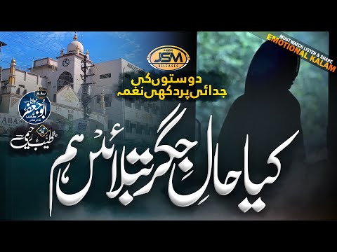 New Alwidai Nazam 2025 | Kya Hal e Jigar batlaein Hum | Hafiz Tayyab Raheemi | JSM Releases | Naat