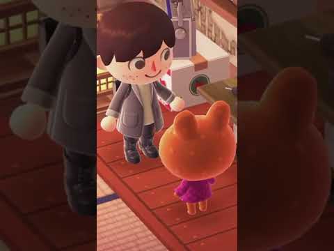 Things I WISH I Knew Sooner In Animal Crossing