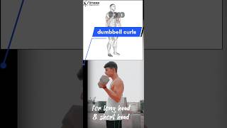 biceps curl#viral #fitness #youtubeshorts #thalapathy #bicepsworkout  #lokiverse2#bicepcurls