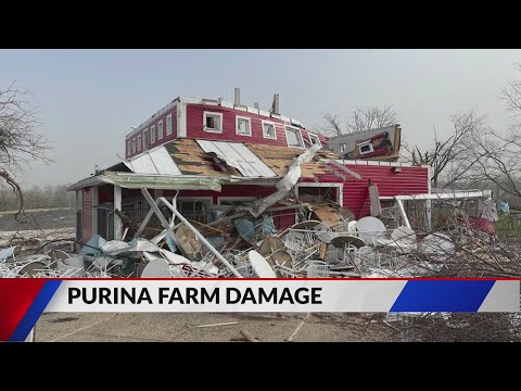 FOX 2 viewers share photos of Friday's storm damage