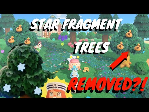 STAR FRAGMENT TREES REMOVED! + Dream Suite CONTROVERSY! // ACNH News and Updates!