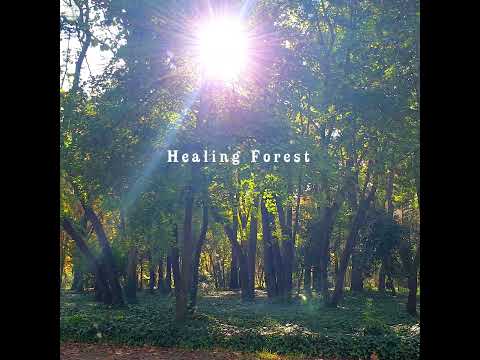 ✩🌳𓍊𓋼𓍊HEALING FOREST 𓍊𓋼𓍊 🌳