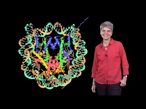 Karolin Luger (CU Boulder, HHMI): Discovery of the Structure of the Nucleosome