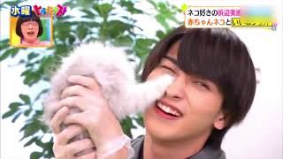 Yokohama Ryusei and Hamabe Minami funny moment with cats