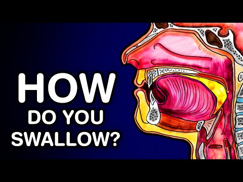 SWALLOWING OR DEGLUTITION - ANATOMY AND PHYSIOLOGY