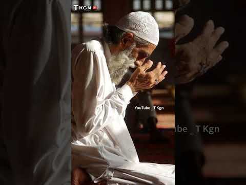 4K Full Screen Islamic Status || Full Screen Whatsapp Status || T Kgn