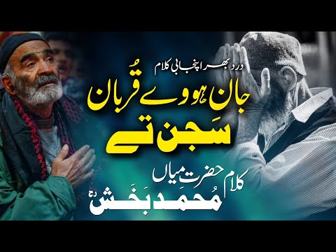 Jaan Hove Qurban Sajjan Te | Sufi Punjabi Kalam Mian Muhammad Baksh 2024 | Xee Production