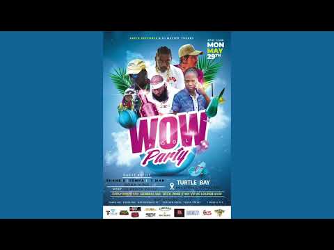 DeeJay Pun & Selectah Renzo - Wow The Pool Party 🇧🇧 PROMO MIX ft. Tempa, Shane E, Tman & Born King 🔥