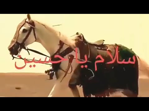 Zuljanah Status | Shahadat Imam Haussain (a.s) Ya Ali Ya Hussain | 10 Muharram Status | Ya Hussain