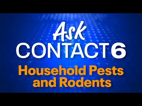 Episode 9: Household Pests and Rodents | FOX6 News Milwaukee