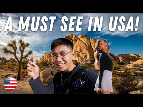 Exploring Joshua Tree National Park! (A must see in California)🇺🇸