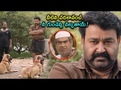 వీటిని వదిలానంటే..గుండెల్ని చీల్చుతాయ్.. Mohanlal Best Fight Scene   @cinemajatara ​