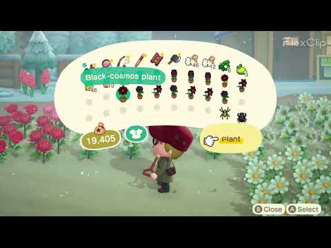 Clean with me! | Animal Crossing New Horizons longplay (NO COMMENTARY)