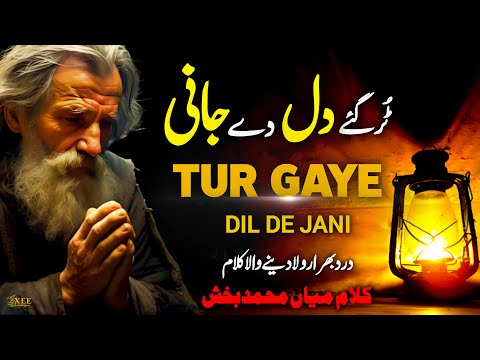 Tur Gaye Dil De Jani | New Superhit Kalam | Mian Muhammad Baksh 2024 | Xee Creation